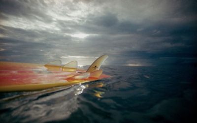 Surf – Photographer | Patrick Trefz – Profile – on REBEL.TV