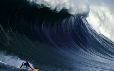 Patrick Trefz’ brilliant Surfers’ Blood captures both sides of board culture