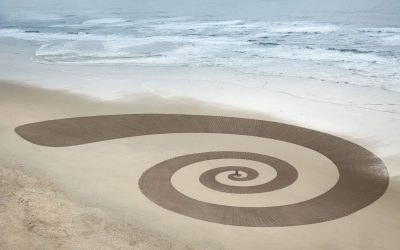 Man in the Field: The Life and Art of Jim Denevan